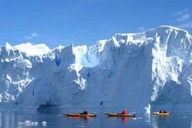 Ảnh minh họa. (Ảnh: Internet)