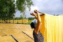 Làng miến Cự Đà "nhuộm màu vàng óng" sang Thu