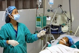 Nhiều ngành học y tế sẽ được ưu tiên. (Ảnh: TTXVN)