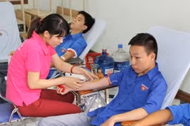 Các bạn trẻ tham gia hiến máu nhân đạo. (Ảnh: Thanh Tùng/TTXVN)