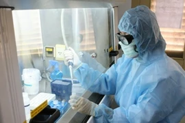 Nghiên cứu vắcxin tại phòng thí nghiệm. (Ảnh: TTXVN)