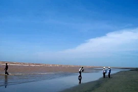 Bãi Cồn Vành. (Nguồn: Internet)