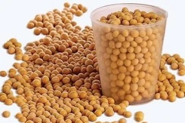 Ảnh minh họa. (Nguồn: topnews.in)