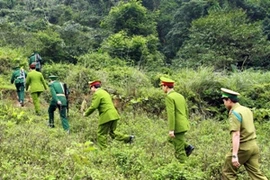 Lực lượng biên phòng và công an tỉnh Hà Tĩnh phối hợp với Công an Lào tuần tra chung trên tuyến biên giới Cửa khẩu Cầu Treo. (Ảnh: Doãn Tấn/TTXVN)