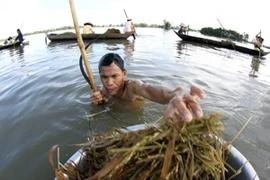 Người dân khi lội xuống ao hồ, để phòng bệnh amip ăn não người thì cần hạn chế không cho nước vào mũi. (Nguồn: TTXVN)
