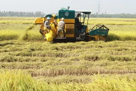 Ảnh chỉ có tính minh họa. (Ảnh: Thanh Vũ/TTXVN)