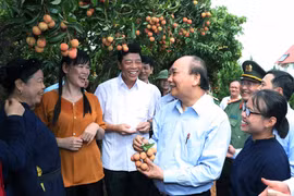 Thủ tướng Nguyễn Xuân Phúc phát biểu kết luận buổi làm việc. (Ảnh: Thống Nhất/TTXVN)