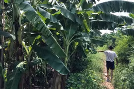 Hiện trường nơi xảy ra sự việc. (Nguồn: ANTD)
