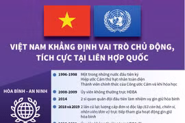 Việt Nam khẳng định vai trò chủ động, tích cực tại Liên hợp quốc