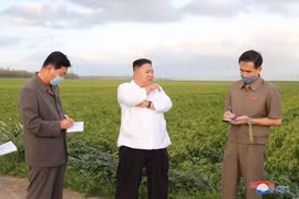 Nhà lãnh đạo Triều Tiên Kim Jong-un (giữa) thăm khu vực bị ảnh hưởng do bão tại tỉnh Nam Hwanghae, Triều Tiên. (Ảnh: Yonhap/TTXVN)