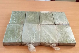 Tang vật vụ án. (Ảnh: Phan Tuấn Anh/TTXVN)