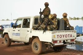 Lực lượng binh sỹ Mali. (Nguồn: AFP)