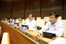 Các Đại biểu Quốc hội. (Ảnh: Dương Giang/TTXVN)
