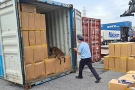 Hải Phòng tiến hành 1.716 cuộc thanh tra trong gần 9 tháng qua