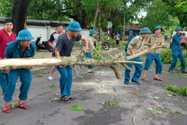 Lực lượng chức năng hỗ trợ dọn dẹp cây xanh bị ngã đổ. (Ảnh: Tường Vi/TTXVN)