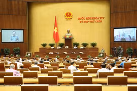 (Ảnh: Doãn Tấn/TTXVN)