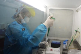 Y, bác sỹ làm việc trong phòng xét nghiệm. (Ảnh: Văn Dũng/TTXVN)