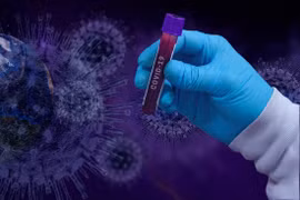 WHO tái khẳng định nguồn gốc virus SARS-CoV-2 xuất phát từ tự nhiên