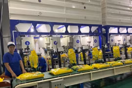 Quy định chứng nhận chủng loại gạo thơm xuất khẩu sang EU