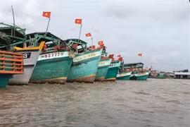 Bến Tre kiểm soát chặt việc cấp giấy phép khai thác thủy sản