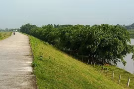 Thủ tướng yêu cầu kiểm tra phản ánh vi phạm pháp luật về đê điều
