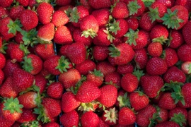 Ảnh minh họa. (Nguồn: Getty Images)