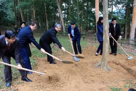 Ông Trần Quốc Vượng, Ủy viên Bộ Chính trị, Thường trực Ban Bí thư trồng cây lưu niệm tại Khu di tích Khuân Điển, xã Kim Quan, huyện Yên Sơn, tỉnh Tuyên Quang. (Ảnh: Quang Cường/TTXVN)