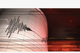 Động đất mạnh tại khu vực quần đảo Santa Cruz ở Thái Bình Dương