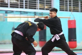 Một số đội tuyển thể thao Việt Nam tập luyện trở lại sau COVID-19