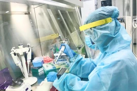 Nhân viên y tế của Trung tâm Chẩn đoán y khoa kỹ thuật cao Thiện Nhân Đà Nẵng đang thực hiện xét nghiệm. (Ảnh: TTXVN phát)