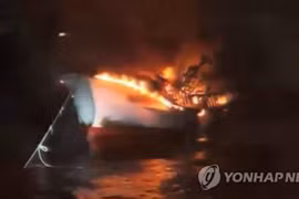 (Nguồn: Yonhap)