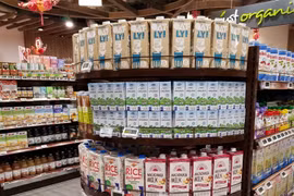 Vinamilk lần thứ 8 liên tiếp trong tốp '50 công ty niêm yết tốt nhất'