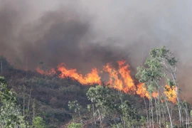 Trời nắng nóng, gió to khiến ngọn lửa bùng phát mạnh. (Ảnh: Quốc Dũng/TTXVN)