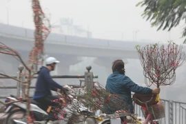 Khu vực quận Thanh Xuân ô nhiễm không khí và sương mù dầy đặc, tầm nhìn xa hạn chế. (Ảnh: Thành Đạt/TTXVN)