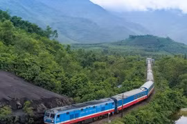 Đoàn tàu trên tuyến Bắc-Nam. (Ảnh: Minh Sơn/Vietnam+)