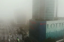 (Ảnh minh họa: Thành Đạt/TTXVN)