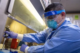 Nhân viên y tế tiến hành xét nghiệm mẫu bệnh phẩm COVID-19 trong phòng thí nghiệm. (Ảnh: AFP/TTXVN)