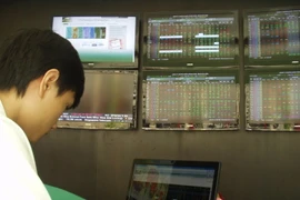 Ảnh minh họa. (Nguồn: PV/Vietnam+)