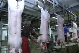 Thành phố Hà Nội có 30 chuỗi cung cấp thực phẩm động vật có nguồn gốc. (Ảnh: Vũ Sinh/TTXVN) 