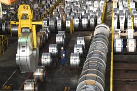 Ảnh minh họa. (Nguồn: TTXVN)