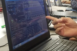 Ảnh minh họa. (Nguồn: PV/Vietnam+)