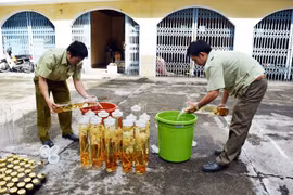 Cơ quan chức năng tiêu hủy các loại rượu ngâm thu giữ do không rõ nguồn gốc. (Ảnh: Quang Thái/TTXVN)