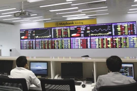 Ảnh minh họa. (Nguồn: TTXVN)