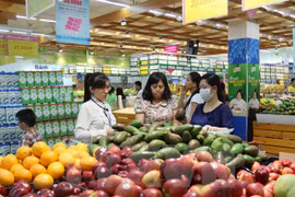 Ảnh minh họa. (Nguồn: TTXVN)