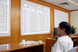 Ảnh minh họa. (Nguồn: PV/Vietnam+)