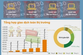 Tổng quan thị trường chứng khoán phái sinh năm 2017. (Ảnh: PV/Vietnam+)