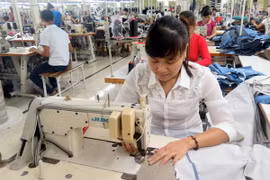 (Ảnh minh họa: Hiền Hạnh/TTXVN)