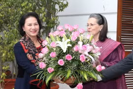 Chủ tịch Quốc hội Nguyễn Thị Kim Ngân gặp bà Sonia Gandhi, Chủ tịch Đảng Quốc đại Ấn Độ. (Ảnh: Trọng Đức/TTXVN)