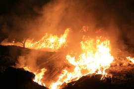 (Ảnh minh họa: Doãn Tấn/TTXVN)