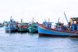 Tàu cá neo đậu tại cảng. (Ảnh minh họa: Lê Sen/TTXVN)
